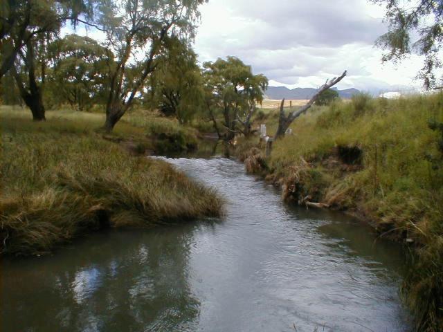 Royal Coachman Villa Clarens Bagian luar foto