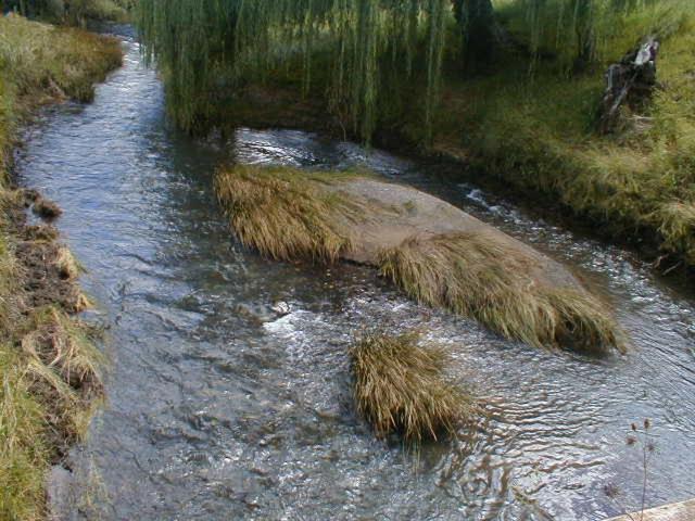 Royal Coachman Villa Clarens Bagian luar foto