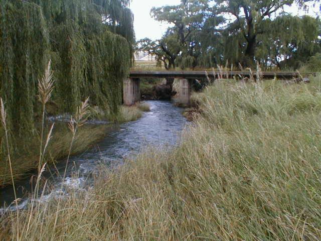 Royal Coachman Villa Clarens Bagian luar foto