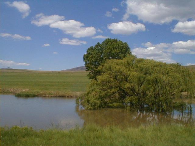 Royal Coachman Villa Clarens Bagian luar foto