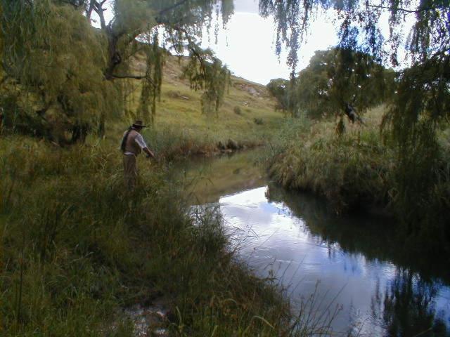 Royal Coachman Villa Clarens Bagian luar foto