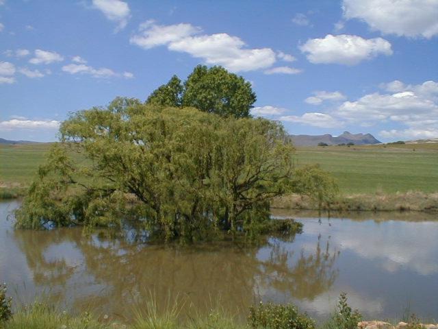 Royal Coachman Villa Clarens Bagian luar foto