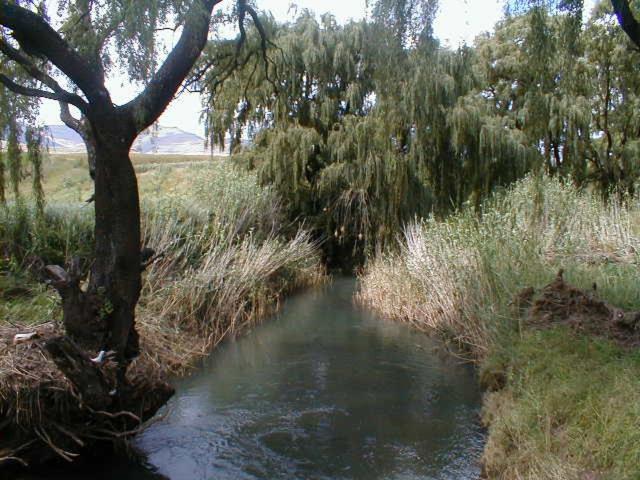 Royal Coachman Villa Clarens Bagian luar foto