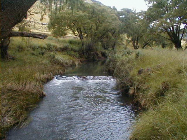 Royal Coachman Villa Clarens Bagian luar foto