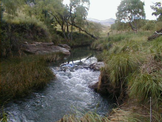 Royal Coachman Villa Clarens Bagian luar foto
