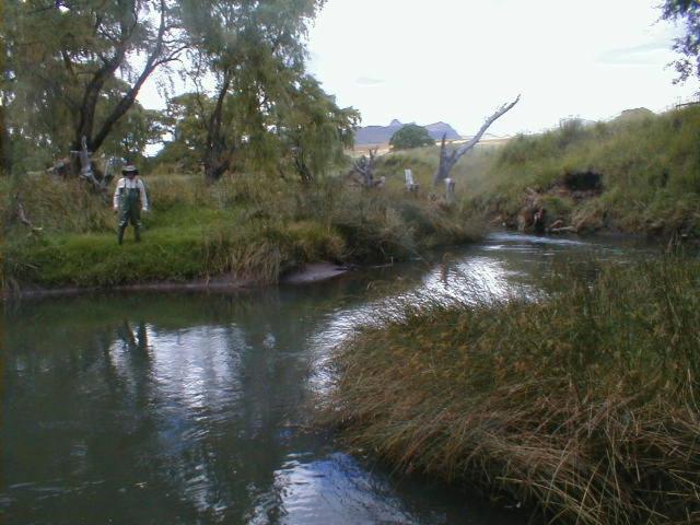 Royal Coachman Villa Clarens Bagian luar foto